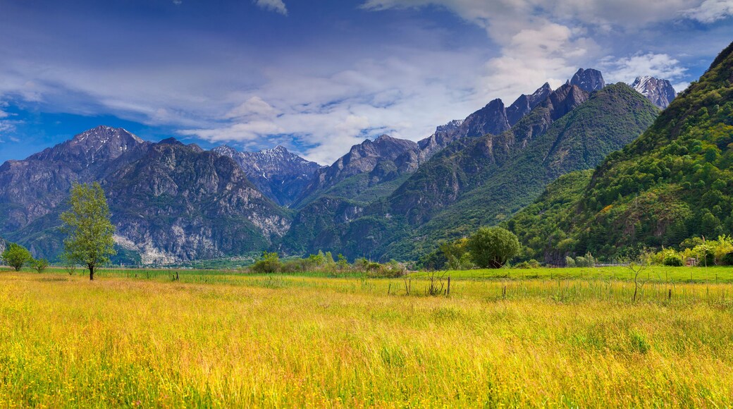 Beautiful summer landscape in the Italian Alps