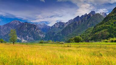 Beautiful summer landscape in the Italian Alps