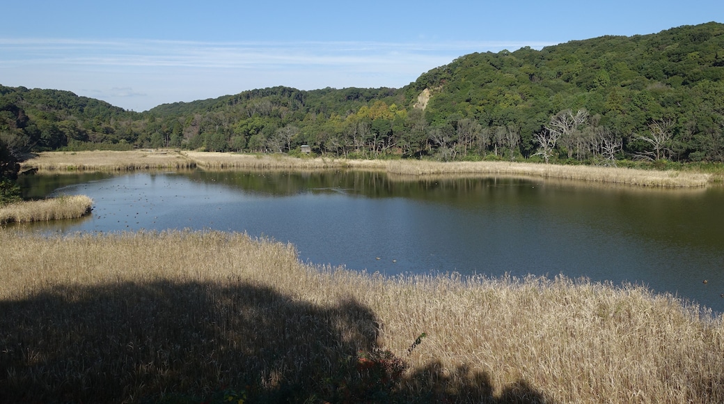 11ๆใฎๆกถใถ่ฐทๆฒผใๅๅดใฎ่ฆณๅฏๅฐๅฑCใใใ