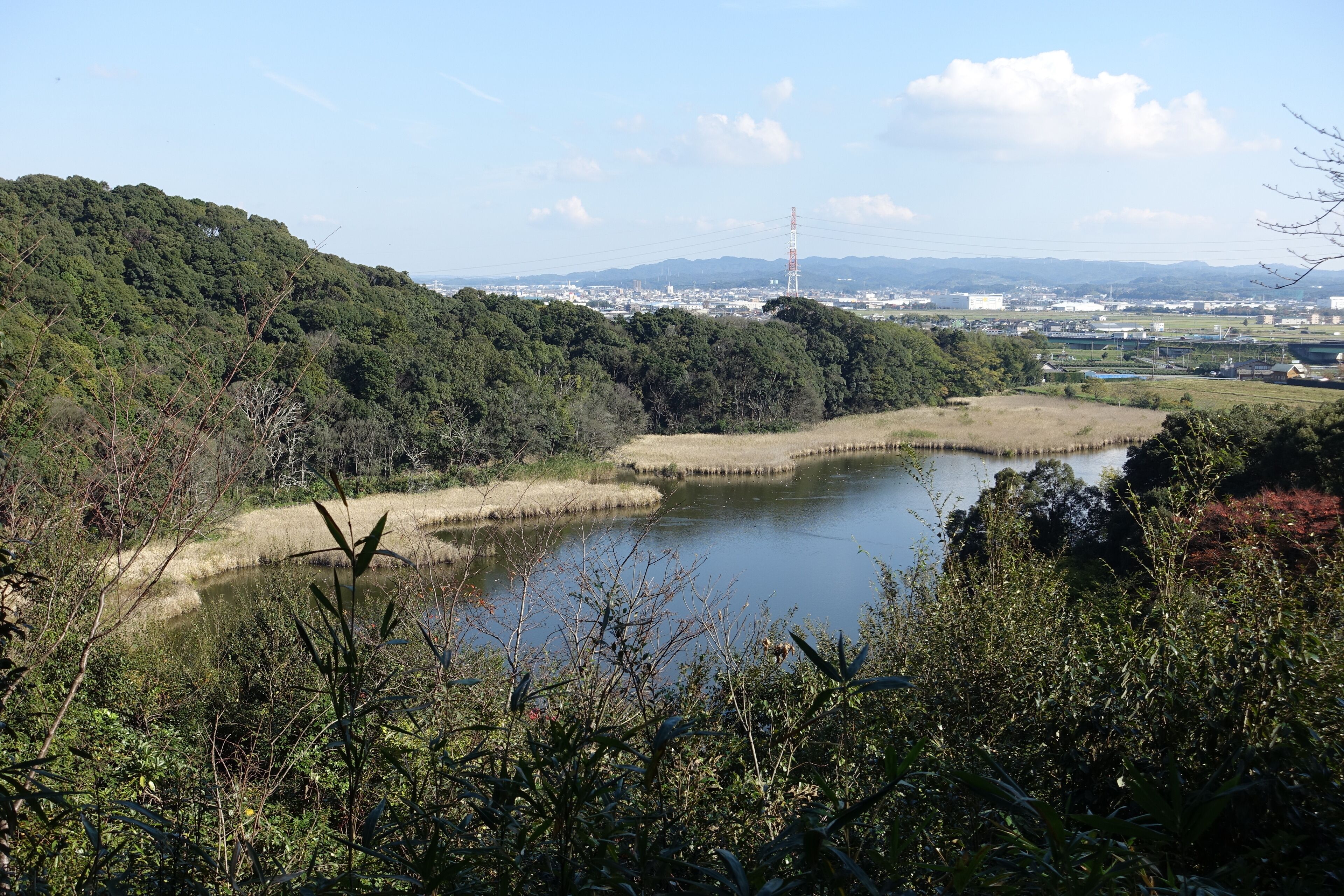11月の桶ヶ谷沼。西側の観察小屋B付近より。