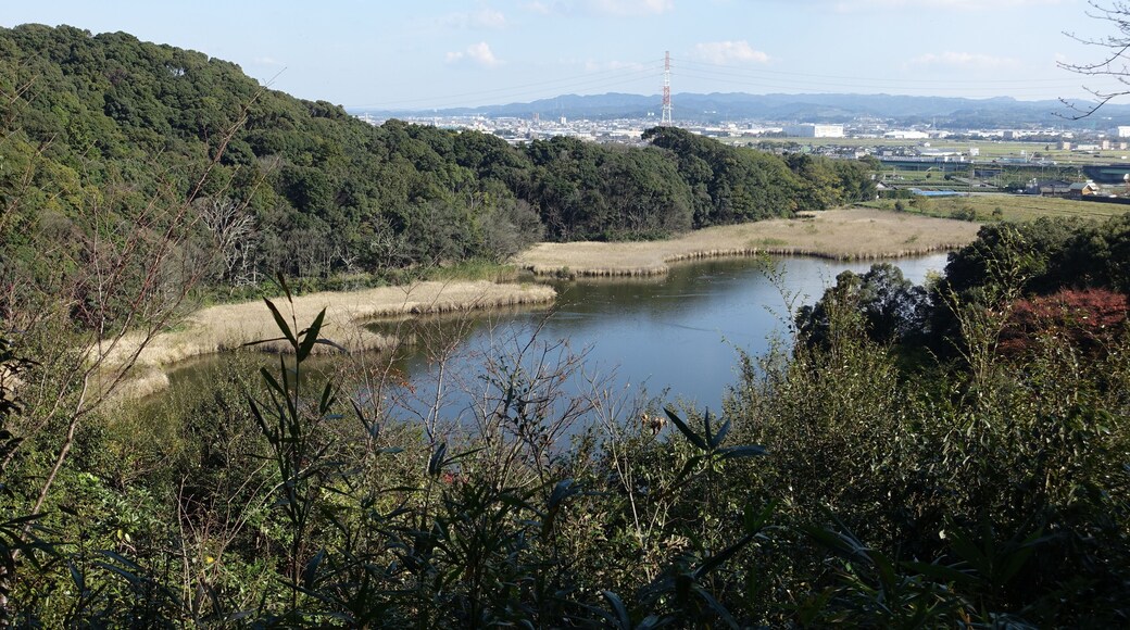 11月の桶ヶ谷沼。西側の観察小屋B付近より。