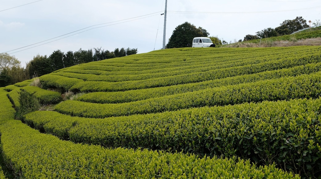 ํ์ง์๋ค์