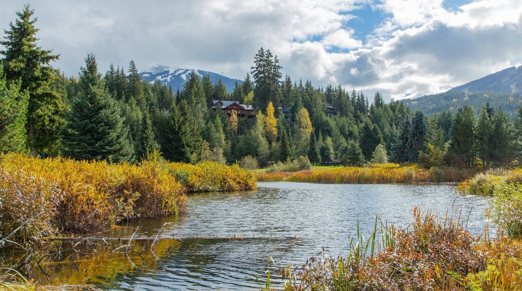 Whistler Golf Club featuring a river or creek