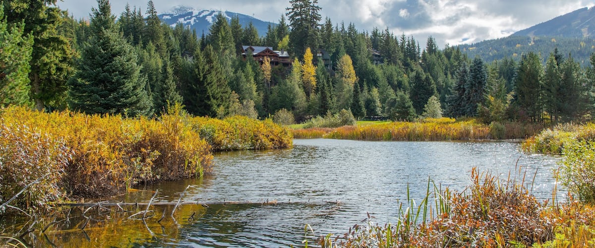 Whistler Golf Club featuring a river or creek