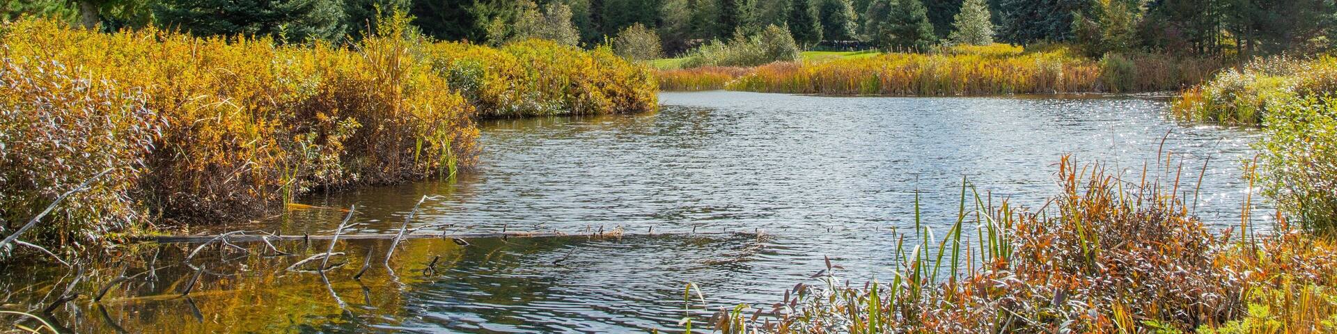 A lake surrounded by autumn foliage, a forest, and a mountain range.