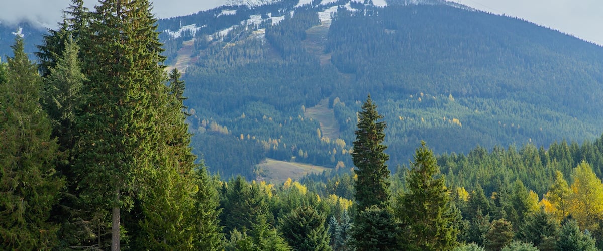 Whistler Golf Club featuring golf as well as a small group of people