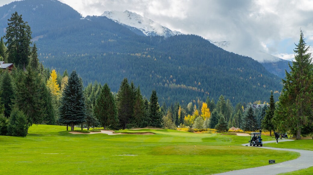 Whistler Golf Club showing golf
