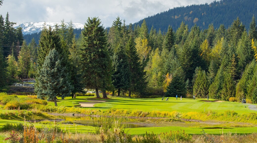 Whistler Golf Club which includes golf and landscape views