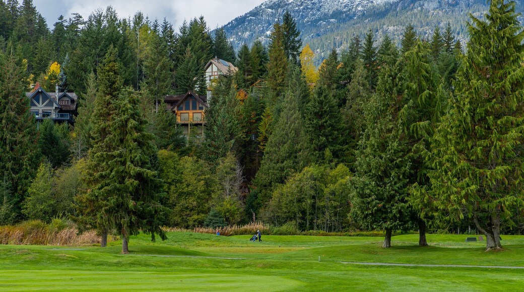 Whistler Golf Club showing golf
