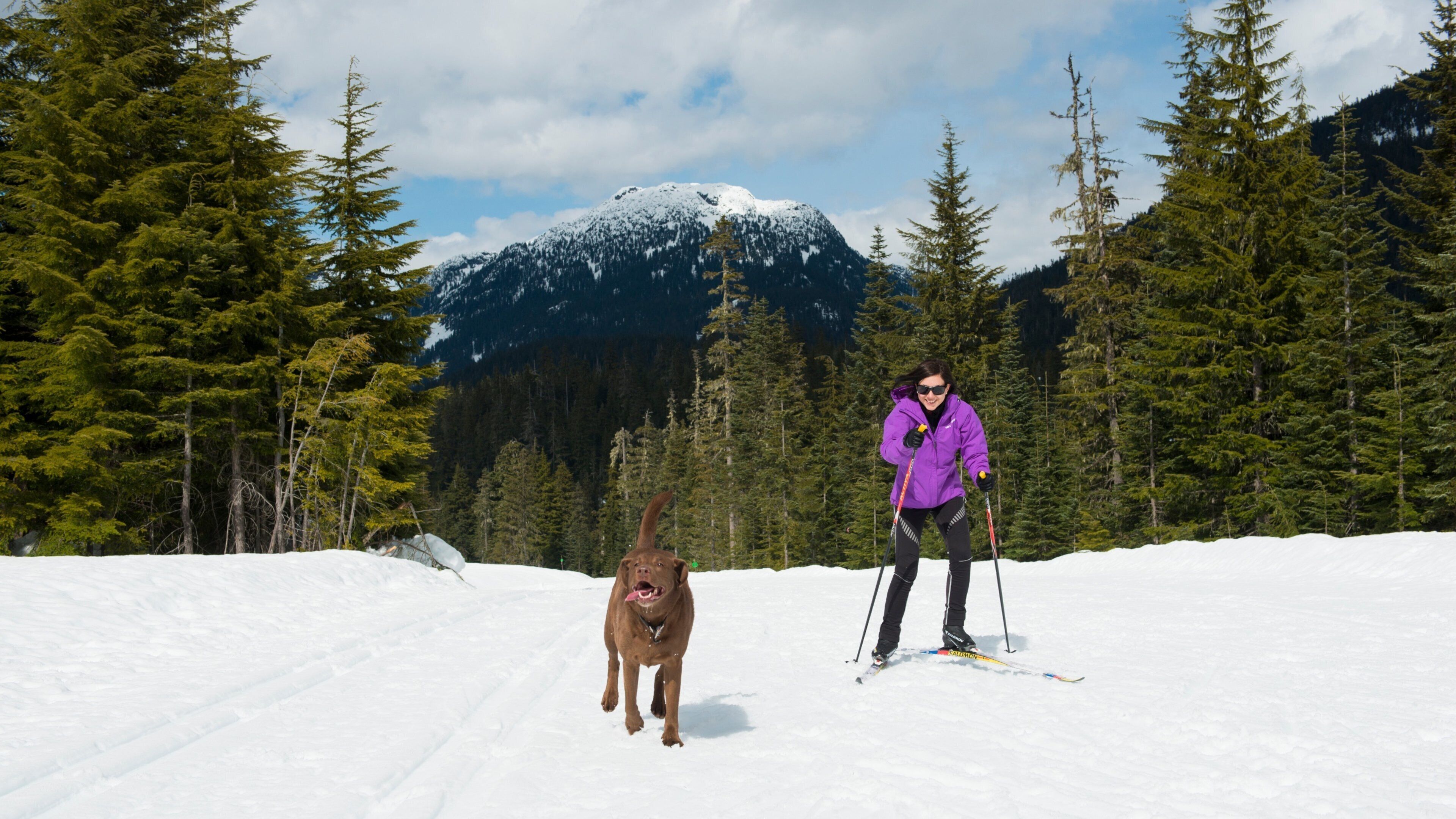 Whistler Olympic Park which includes cuddly or friendly animals, snow and cross country skiing
