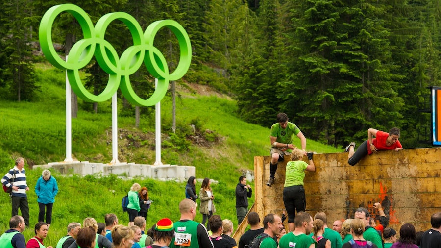 Whistler Olympic Park mostrando sinalização e um evento desportivo assim como um grande grupo de pessoas