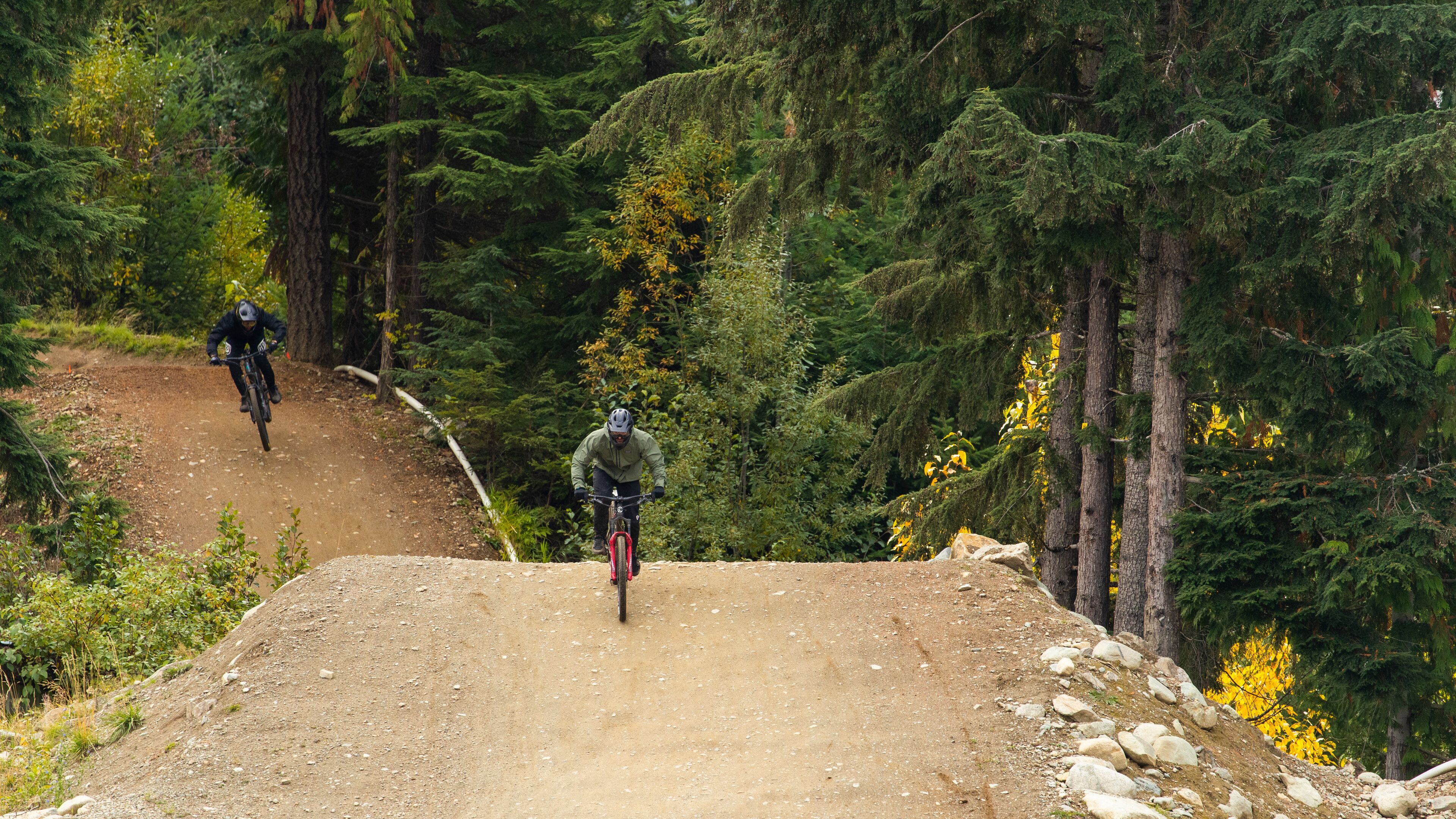 Whistler Mountain Bike Park which includes mountain biking