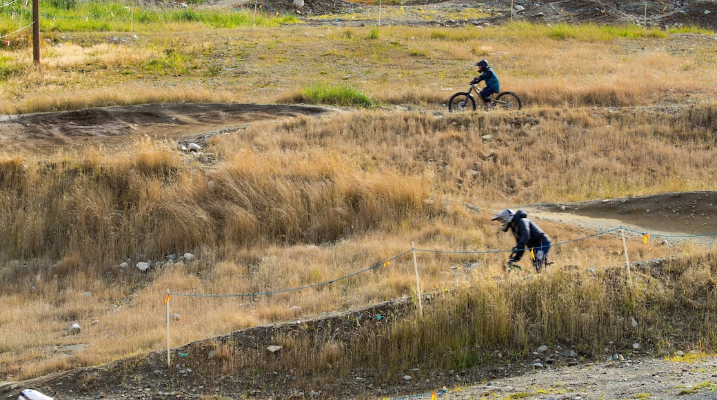 Whistler Mountain Bike Park showing mountain biking