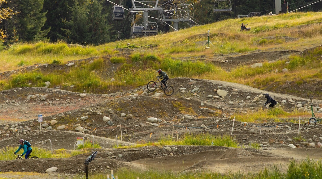 Whistler Mountain Bike Park showing mountain biking