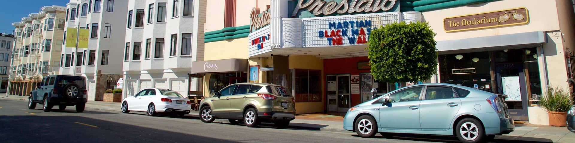Cow Hollow featuring street scenes and signage