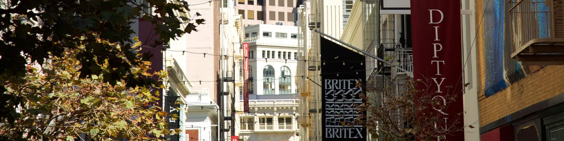 Maiden Lane showing signage, a city and central business district