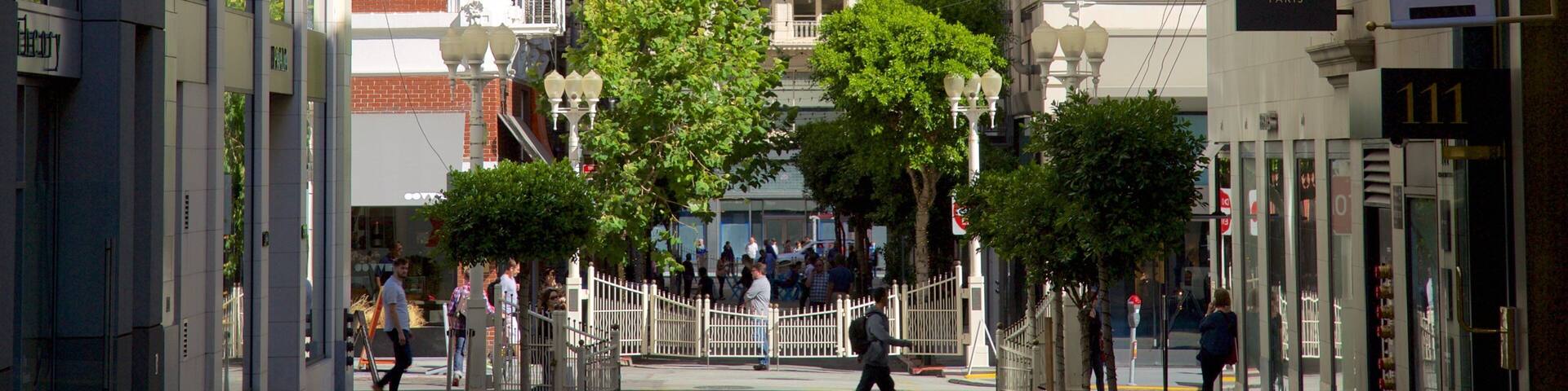 Maiden Lane showing central business district, a city and signage