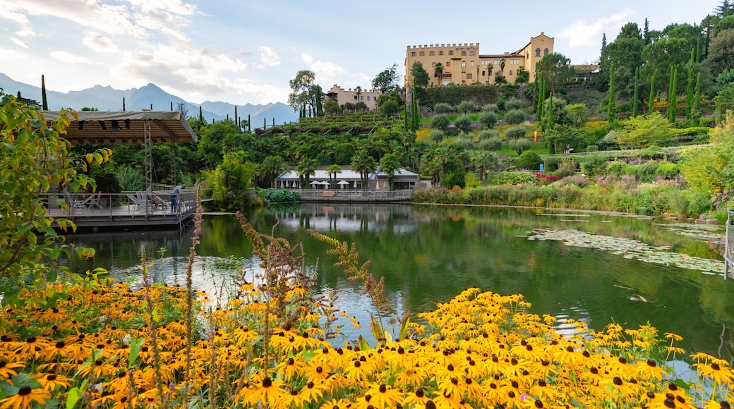 Trauttmansdorff Castle Gardens