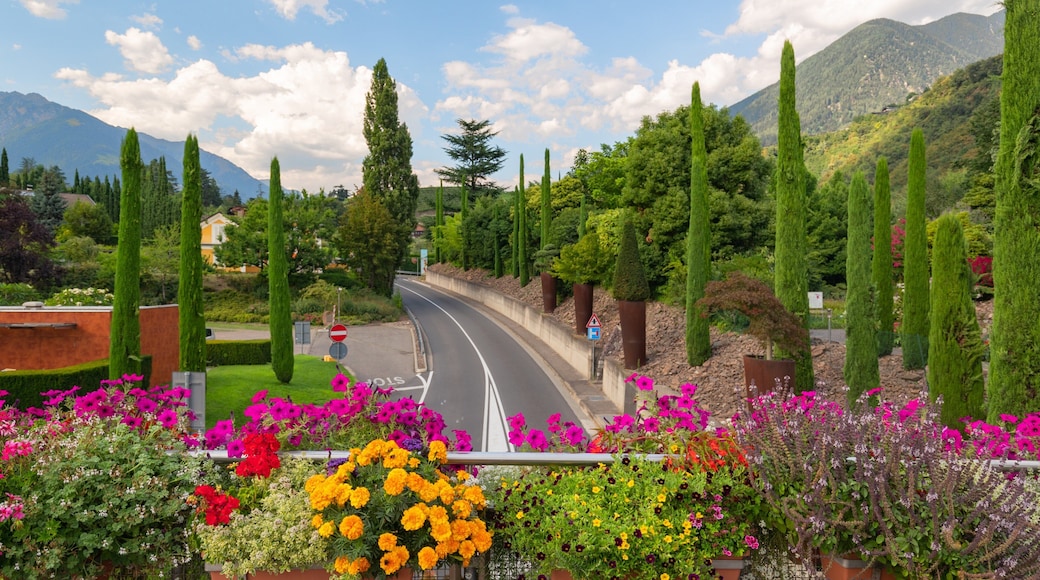 Trauttmansdorff Castle Gardens showing flowers and a garden