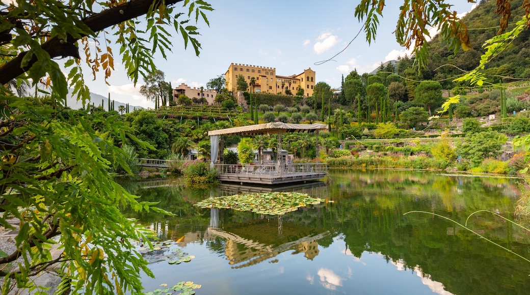 South Tyrol featuring a pond