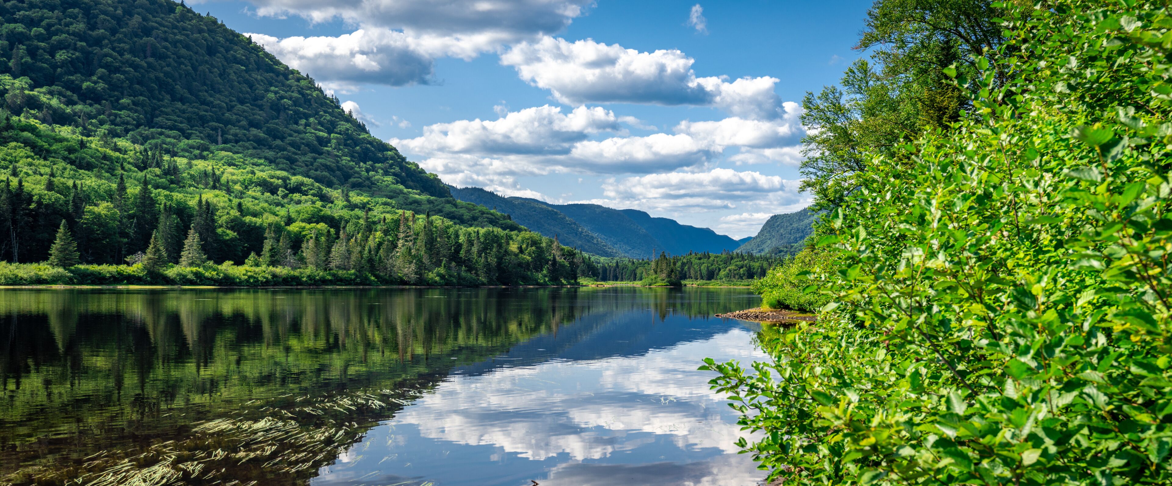 Awesome summer view from a verdant hill in Jacques Cartier National Park, Quebec province, Canada