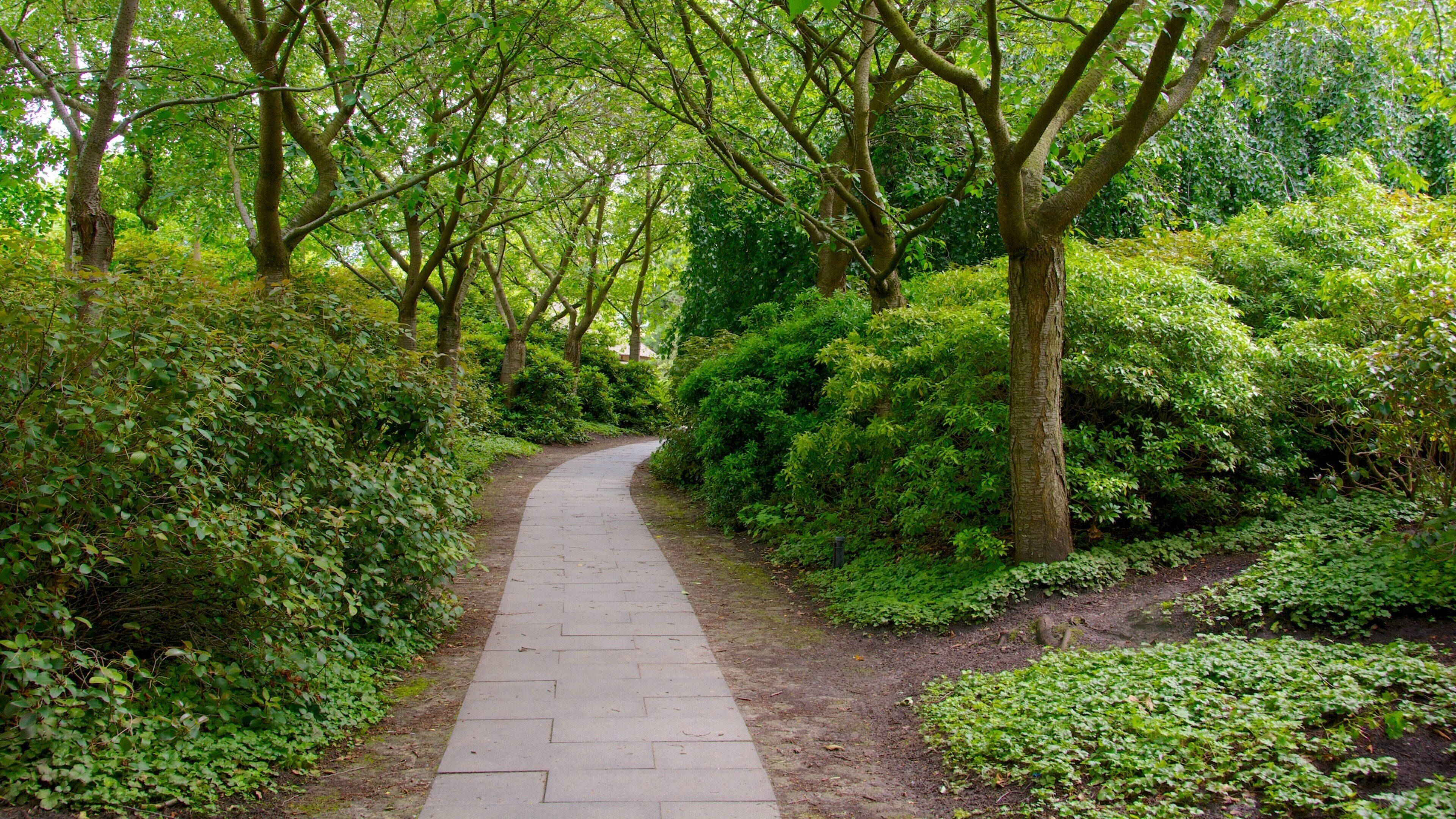 Sternschanze showing a park