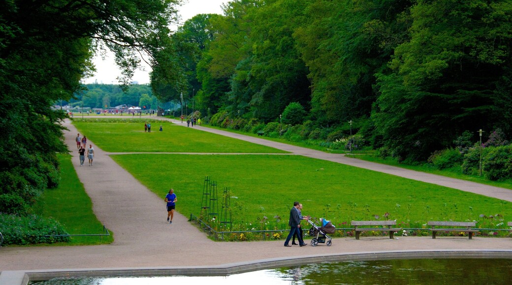 Winterhude showing a park