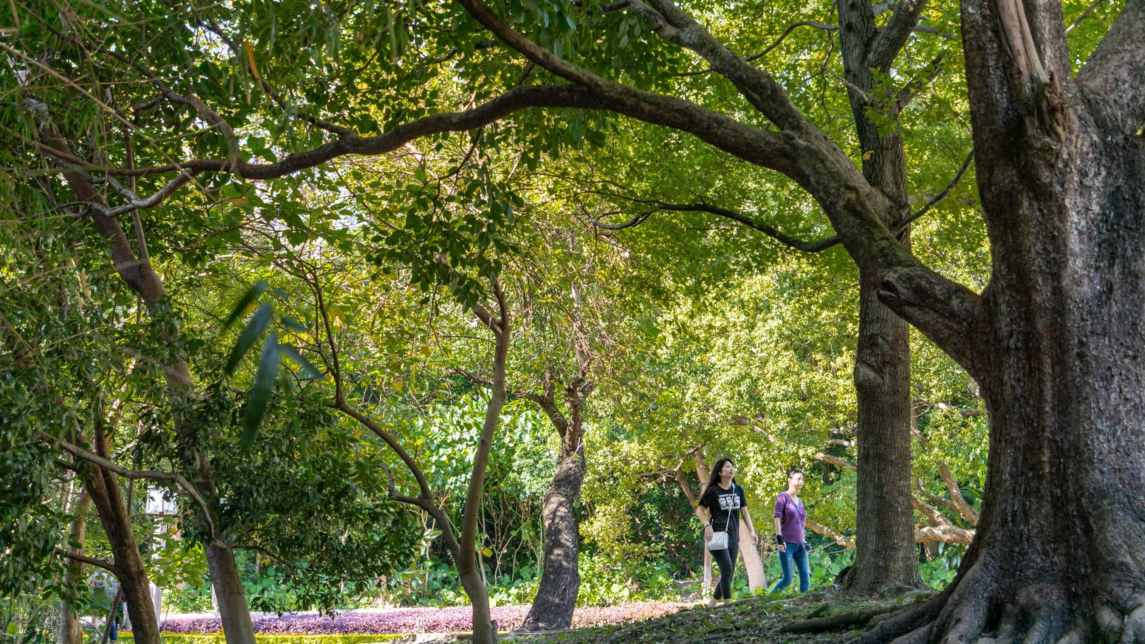 Beitou Hot Springs Park