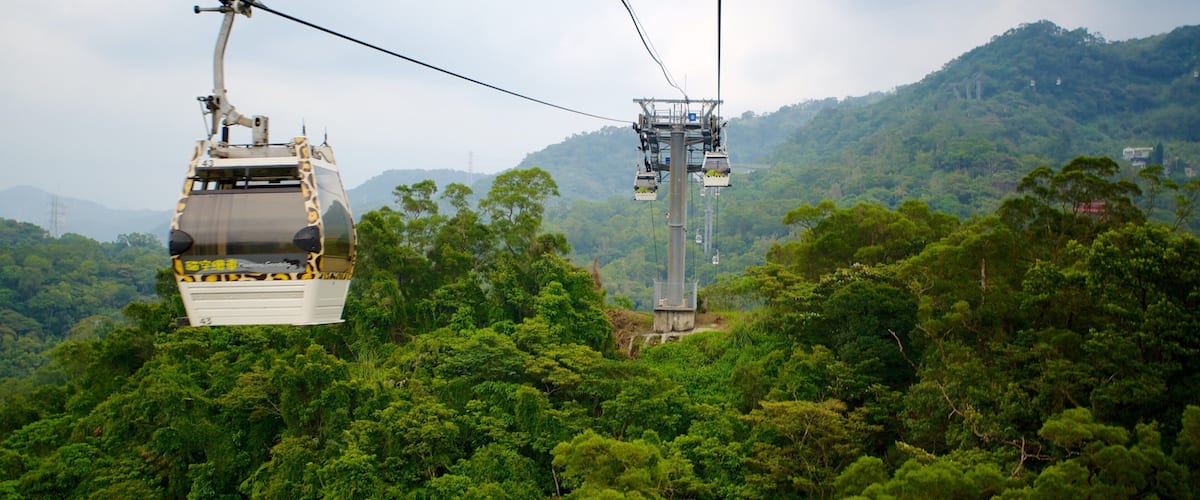 Maokong Gondola featuring rainforest and a gondola
