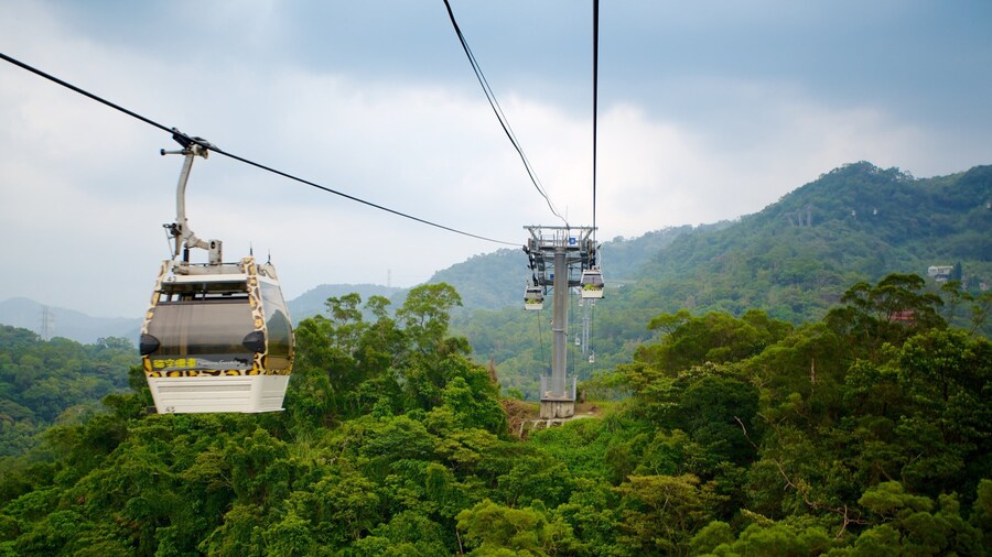 Maokong Gondola featuring rainforest and a gondola