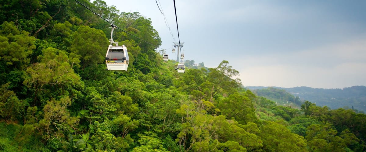 Maokong Gondola ofreciendo una góndola, vistas de paisajes y bosques