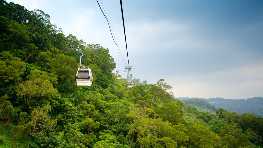 Maokong Gondola which includes forests, a gondola and mountains