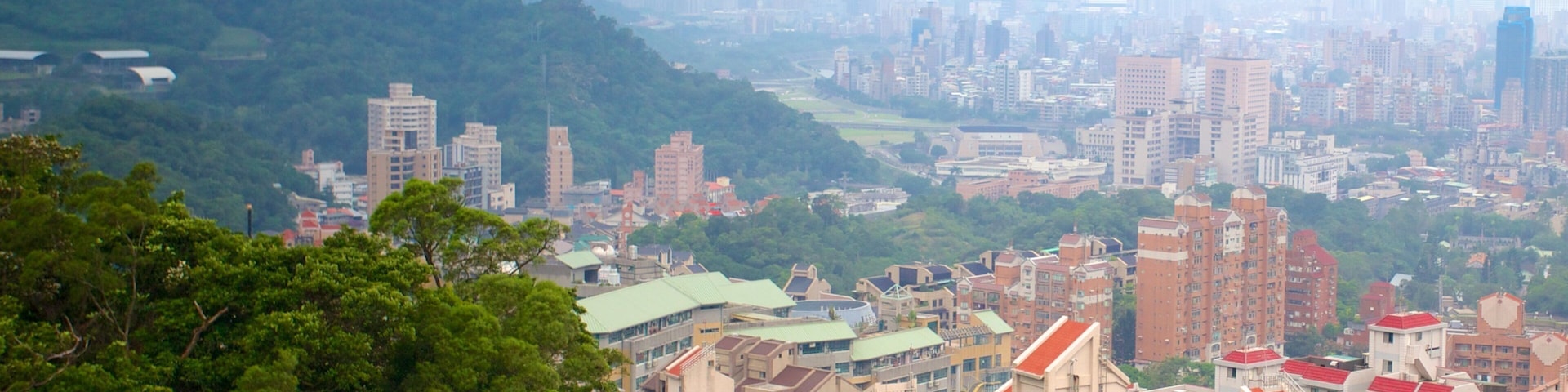 ๋ง์ค์ฟต ๊ณค๋๋ผ ์ ํน์ง ๋ง์ฒ๋ฃจ, ์ฐ ๊ณผ ๋์