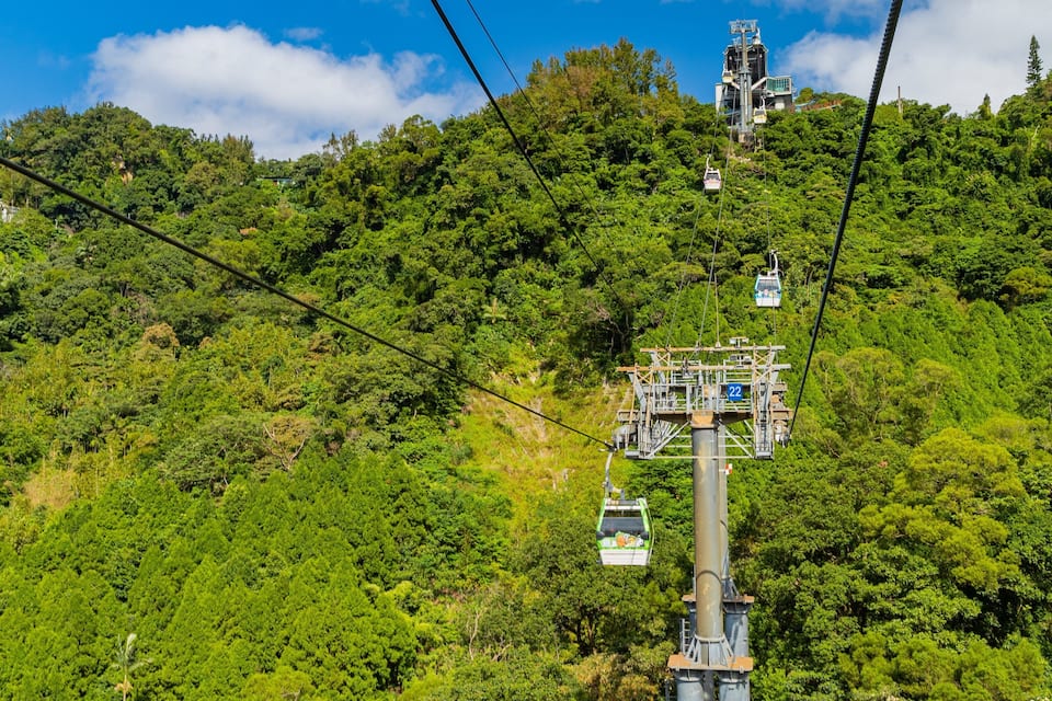 A cable car system on a lush green mountain with dense foliage.