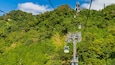 A cable car system on a lush green mountain with dense foliage.