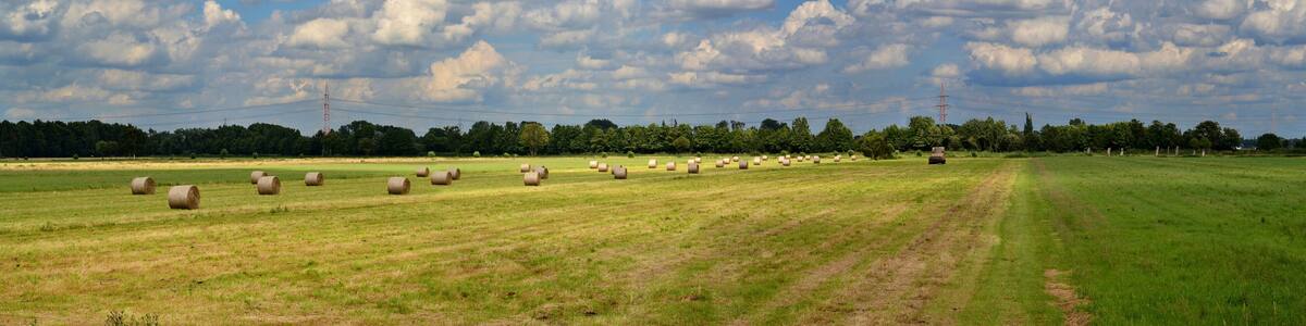 Heuballen in Seevetal, hinten Bahnstrom-Freileitungskreuzung der A1