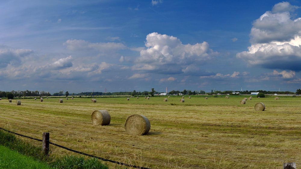A rural landscape with hay bales in a field, a fence, and a road.
