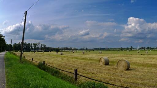 Das Moor zwischen Auto- und Eisenbahn