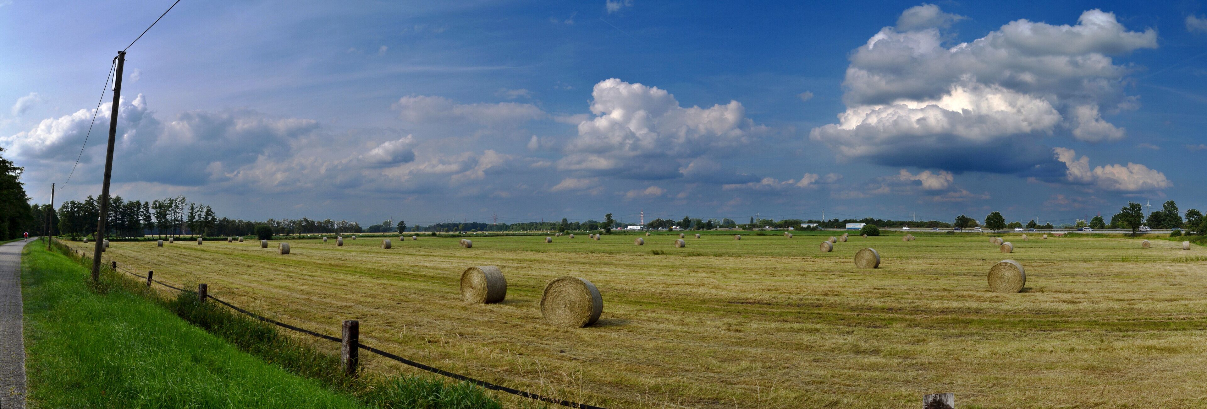 A rural landscape with hay bales in a field, a fence, and a road.