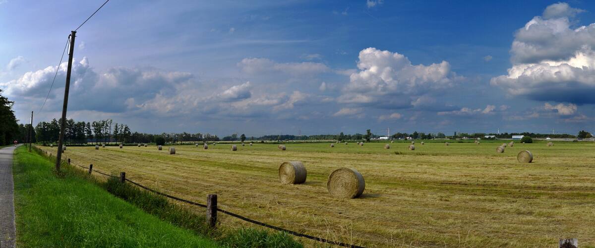 A rural landscape with hay bales in a field, a fence, and a road.