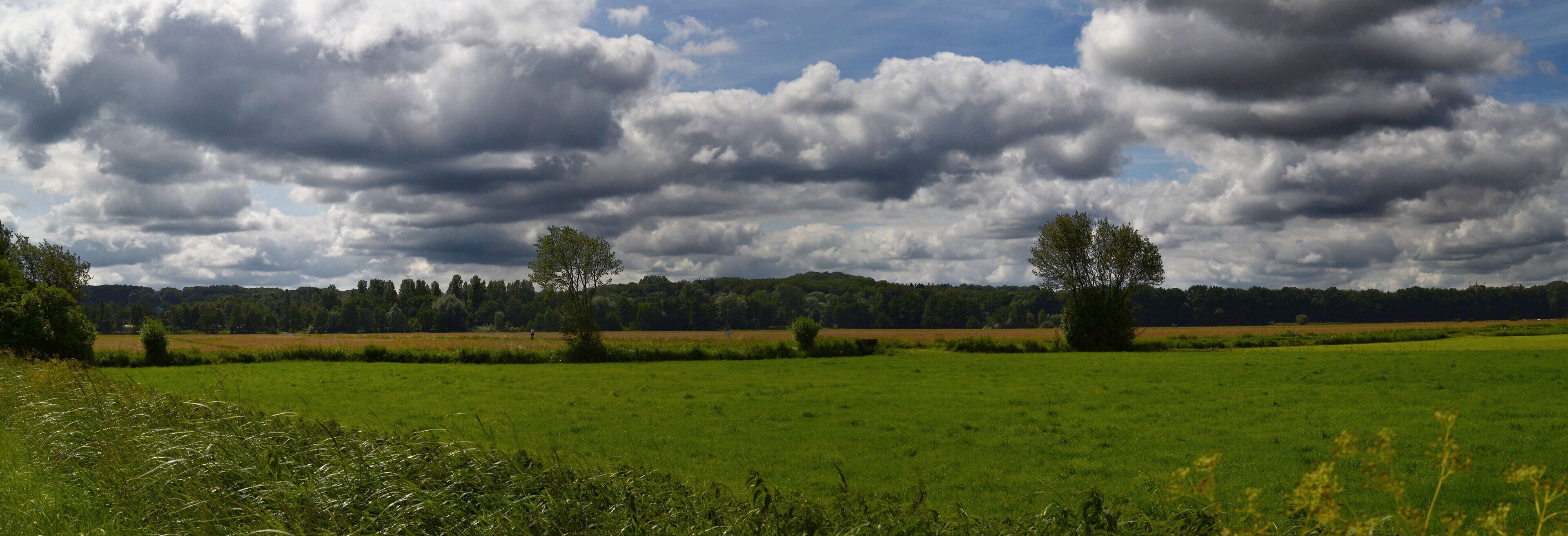 Blick Richtung Rönneburg