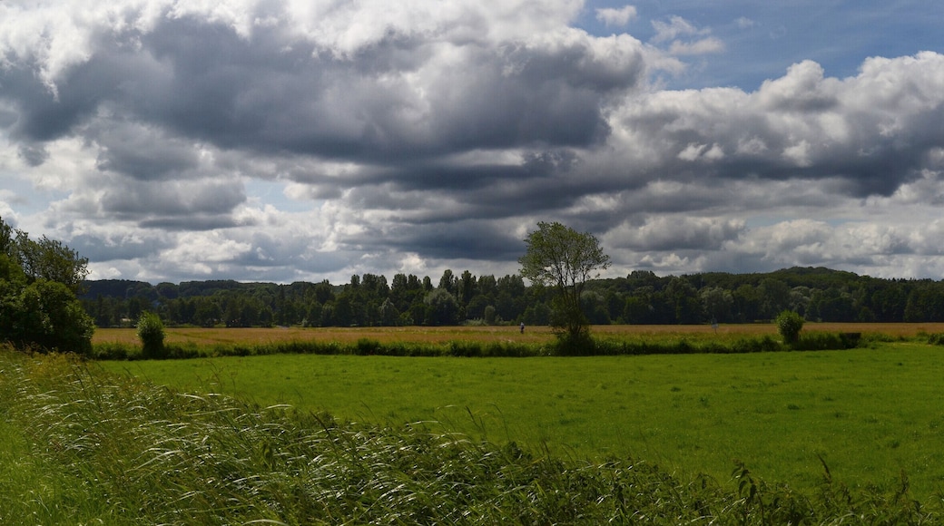 Blick Richtung Rönneburg