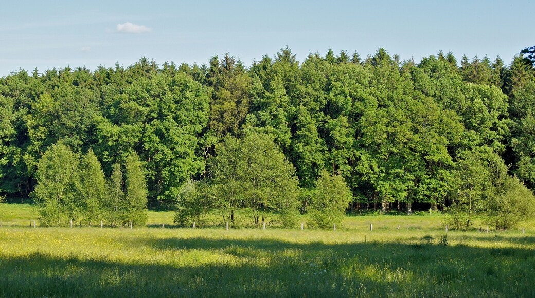 Hamburg (Duvenstedt), Germany: The valley of the river Wittmoorgraben from the Wittmoorstieg Street