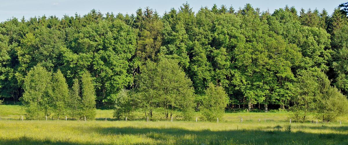 Hamburg (Duvenstedt), Germany: The valley of the river Wittmoorgraben from the Wittmoorstieg Street