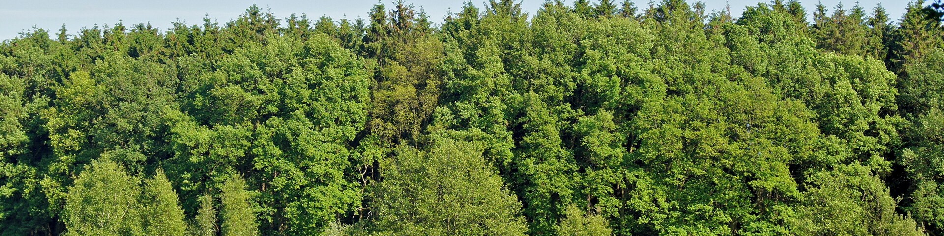 Hamburg (Duvenstedt), Germany: The valley of the river Wittmoorgraben from the Wittmoorstieg Street