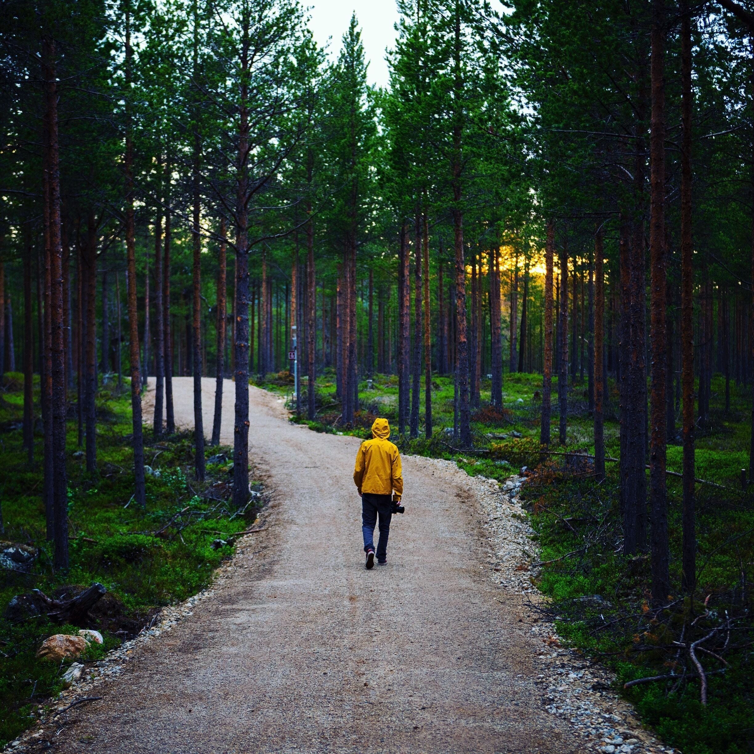 Something that I absolutely love about spending time in Inari Finland is the gorgeous nature! I spent this evening out taking pictures from 11:00 PM - 4:00 AM with the midnight sun. We took breaks in nature huts provided by the river and lit a fire to enjoy with our snacks. Finnish bliss. 💚💜🌏🌿