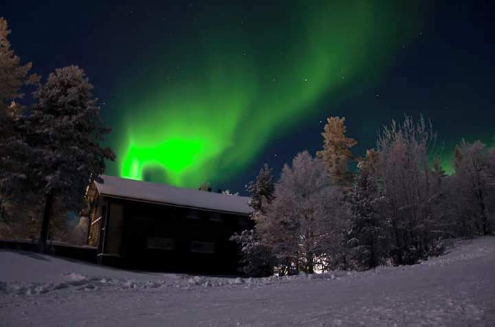 Awesome sight! January 2014 halfway up the toboggan hill in Saariselka.