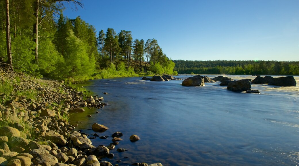 Inari fasiliteter samt rolig landskap og innsjø