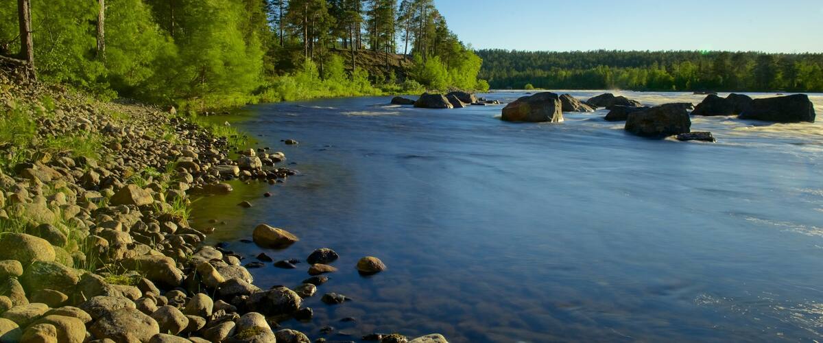 A river with large rocks, a forested area, and a clear blue sky.