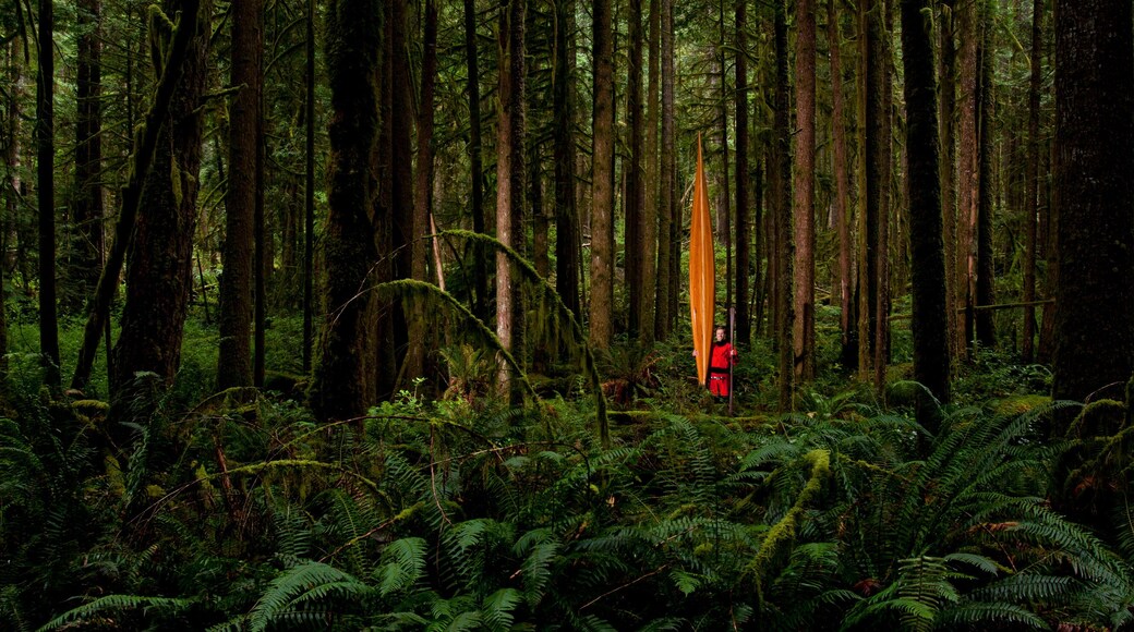 Portrait of a man in a dry suite with his hand-made Cedar Strip Kayak in a temperate rain forest.